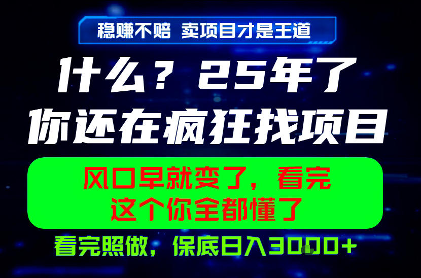 26年,请不要疯狂的找项目做了!卖项目才是真的稳賺不赔,看完照做,保底日入1k+【揭秘】-水滴知识网