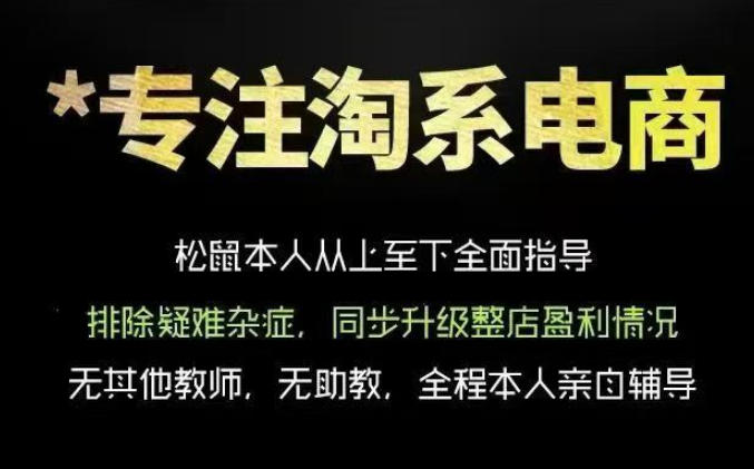 松鼠会电商VIP课程，从基础布局到高阶优化，助你掌握淘宝运营逻辑，提升店铺流量与转化-球球资源网