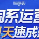 淘系运营21天速成班，0基础轻松搞定淘系运营，不做假把式，快速复制落地(更新26年6月)