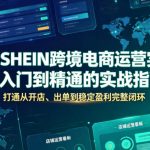 希音SHEIN跨境电商运营实操，从入门到精通的实战指南，打通从开店、出单到稳定盈利完整闭环