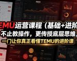 TEMU运营课程（基础+进阶），不止教操作，更传授底层思维，一门让你真正看懂TEMU的进阶课