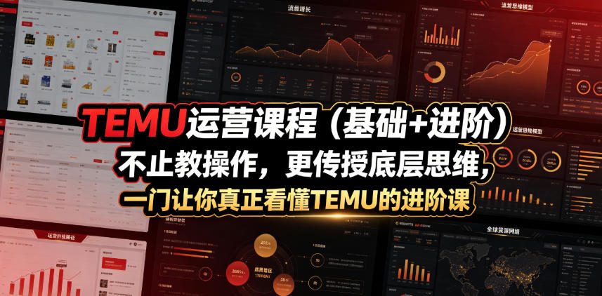 TEMU运营课程（基础+进阶），不止教操作，更传授底层思维，一门让你真正看懂TEMU的进阶课-水滴知识网