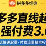 拼多多直线起店+强付费3.0，教你稳定起店、高效控投产、破解流量瓶颈（更新6月）
