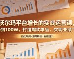 沃尔玛平台增长的实战运营课，从0到100W，打造爆款单品，实现业绩飞跃