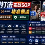 截流手搓打法实战SOP，抖音小红书视频号精准截流，快速获客，低成本高转化，一看即会