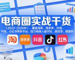 电商圈实战干货（2023-2026年），覆盖淘系、拼多多、抖音、小红书等多平台，助力电商人避开坑、提效率、稳盈利（更新06月29日）