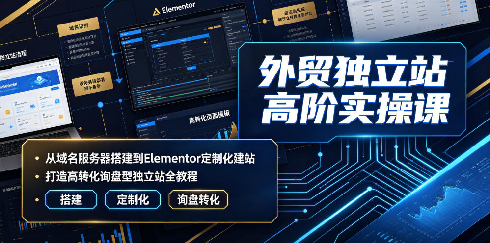 外贸独立站高阶实操课｜从域名服务器搭建到Elementor定制化建站，打造高转化询盘型独立站全教程-球球资源网