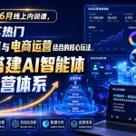某大佬的6月线上内训课，聚焦当下热门AI智能体与电商运营结合的核心玩法，快速搭建AI智能体电商运营体系