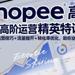 Shopee虾皮高阶运营精英特训营，高阶运营技巧+流量提升+转化率优化，助你业绩翻倍（更新26年7月）