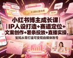 小红书博主成长课｜IP人设打造+赛道定位+文案创作+薯条投放+直播实操，宝妈从零打造可变现自媒体账号