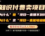 普通人为什么能够靠卖项目轻松月入10W+，而做项目却容易成炮灰，卖项目为什么能够稳賺不赔？【揭秘】