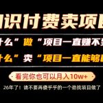 普通人为什么能够靠卖项目轻松月入10W+，而做项目却容易成炮灰，卖项目为什么能够稳賺不赔？【揭秘】