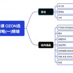 2026最新OZON全流程运营实操跨境电商平台教程，OZON全流程一站式系统学习必修课，从开店到跟卖到精铺