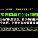 为什么做项目的人大多都是炮灰？为什么只有卖项目才能稳？看完你也可以月入10W+【揭秘】