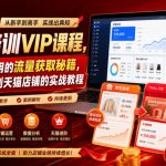 淘宝培训VIP课程，各种经典有用的流量获取秘籍，从淘宝新店到天猫店铺的实战教程（更新08月12日）