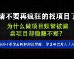 找项目？别傻了！卖项目才是真的一本万利！看完你全都懂了【揭秘】