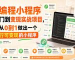 AI编程小程序从入门到变现实战项目，带你从0到1做出一个可运行可变现的小程序