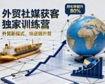 外贸社媒获客独家训练营，外贸新模式，快速做外贸（更新26年08月21日）