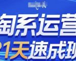 淘系运营21天速成班，0基础轻松搞定淘系运营，不做假把式，快速复制落地(更新26年8月)