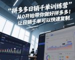 拼多多日销千单训练营，从0开始带你做好拼多多，让日销千单可以快速复制(更新26年8月)