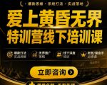 爱上黄昏无界特训营AI推广实战7月27-30杭州线下课，AI落地淘宝最完整的课程，学天猫淘宝的老板必看