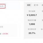 8月AI小红书虚拟电商Pro训练营，手把手带你从0到1跑通虚拟电商全流程，给普通人的最短商业变现路径（更新0829）