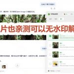 太香了！这款千问视频/图片去水印神器，一键搞定烦人水印，本地完全免费，浏览器拓展插件