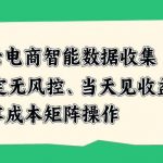 云电商智能数据收集，稳定无风控，当天做当天见收益，零成本矩阵操作【揭秘】