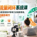 视频号流量闭环系统课，从人设定位、内容变现到IP影响力全链路落地，开启你的IP流量影响力