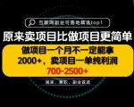 一单利润700-2.5K+，为什么我们要卖项目而不是做项目，我们普通人应该怎样开始？【揭秘】