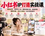 小红书ip打造实战课，商业定位、差异化人设、爆款选题文案、拍摄剪辑、搜索流量、安全公转私一站式落地教学