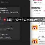 微博蓝海项目，各种Sao思路打法+AI引流思路，喂饭级教程