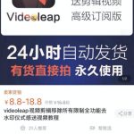 淘宝闲鱼共享会员项目，信息差玩法，小白卖共享账号也能月入5K