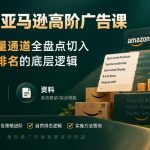 亚马逊高阶广告课，从站内流量通道全盘点切入，讲透自然排名的底层逻辑（直播+音频+资料）