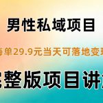 男性私域项目每单29.9，当天就能落地变现【不是S粉项目】详细拆解