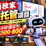 电商独家自动托管项目，24小时挂G，2小时500-800，附全套工具【揭秘】