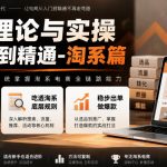 电商理论与实操从入门到精通-淘系篇，从零搭建淘宝店铺，吃透淘系底层规则，稳步出单做爆款